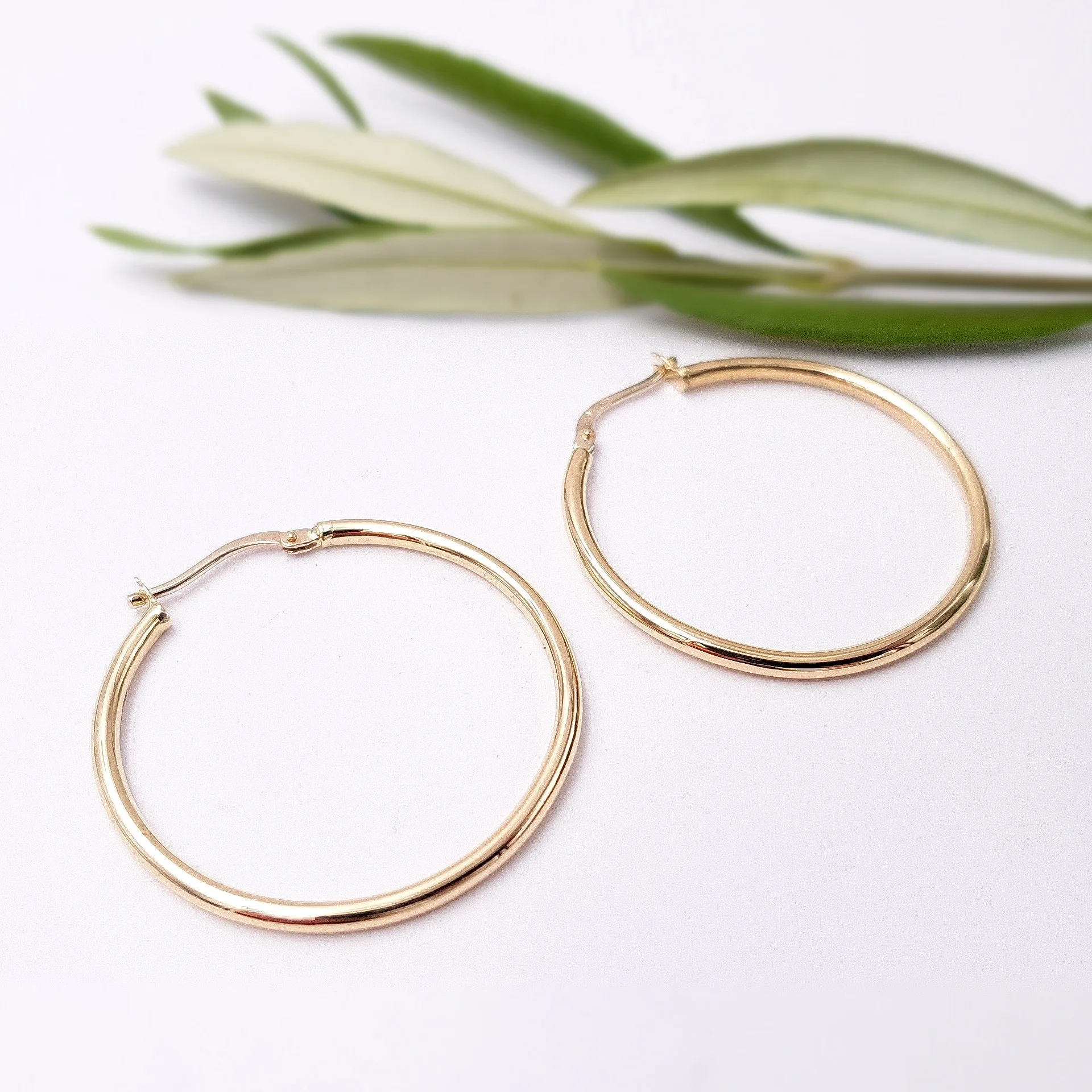 Boucles d'oreilles précieuses